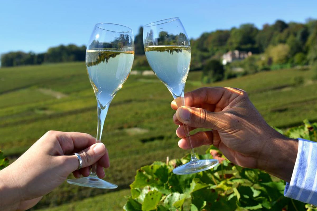 region viticole champagne